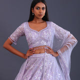 Pastel Blue Net Sequence Work Lehenga Set