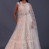 Pastel Cream Net Embroidered Lehenga Set