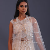 Pastel Cream Net Embroidered Lehenga Set