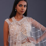 Pastel Cream Net Embroidered Lehenga Set