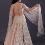 Pastel Cream Net Embroidered Lehenga Set