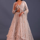 Pastel Beige Net Sequence Work Lehenga Set