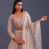 Pastel Beige Net Sequence Work Lehenga Set