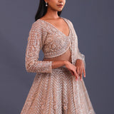 Pastel Beige Net Sequence Work Lehenga Set