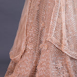 Pastel Beige Net Sequence Work Lehenga Set