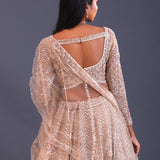 Pastel Beige Net Sequence Work Lehenga Set
