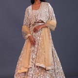 Pastel Beige Net Sequence Embroidered Lehenga Set