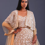 Pastel Beige Net Sequence Embroidered Lehenga Set