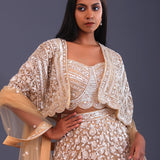 Pastel Beige Net Sequence Embroidered Lehenga Set