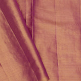 Light Gold Kanjivaram Tissue Saree With Designer Border