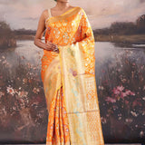 Pumpkin Orange Kanjivaram Tissue Saree With Meenakari Border