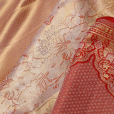 Light Gold Kanjivaram Tissue Saree With Floral Pattern