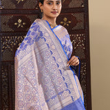 Scanoi Blue Banarasi Tissue Saree With Meenakari Design