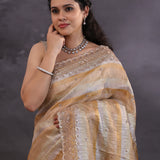 Dual Tone Tissue Fancy Saree With Cutdana Work