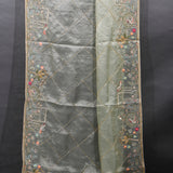Sage Green Organza Saree With Hand Embroidered Swan And Floral Border