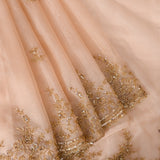 Beige Organza Saree With Hand Embroidered Gold Floral Border