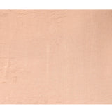 Soft Champagne With Paithani Style Elephant Motif Border Designer Saree