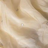 White Kanjivaram Saree With Scattered Mirror Work And Sequin Scalloped Border