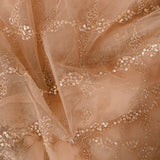 Beige Embellished Net Designer Saree