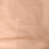 Beige Embellished Net Designer Saree