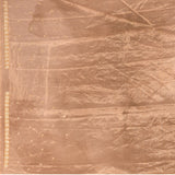 Beige Meenakari Floral Embroidery Organza Tissue Saree