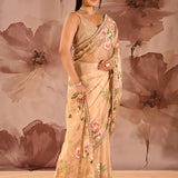 Beige Meenakari Floral Embroidery Organza Tissue Saree