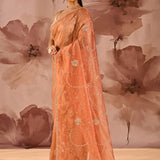 Sunset Amber Floral Jaal Tissue Embroidery Saree