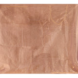 Mocha Bronze Floral Jaal Tissue Embroidery Saree