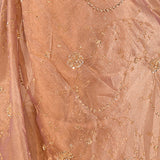 Mocha Bronze Floral Jaal Tissue Embroidery Saree