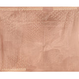 Apricot Mist Floral Jaal Organza Embrodiery Saree