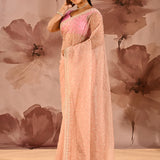 Apricot Mist Floral Jaal Organza Embrodiery Saree