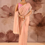 Apricot Mist Floral Jaal Organza Embrodiery Saree
