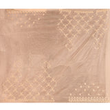 Ivory Blossom Floral Jaal Organza Saree
