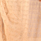 Ivory Blossom Floral Jaal Organza Saree