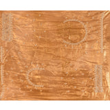 Champagne Gold Tissue Embrodiery Designer Saree