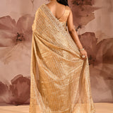 Champagne Gold Tissue Embrodiery Designer Saree