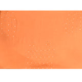 Peach With Scattered Floral Stone Embellishment Organza Saree