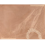 Champagne Bloom Floral Jaal Tissue Embrodiery Saree