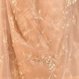 Champagne Bloom Floral Jaal Tissue Embrodiery Saree