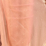 Peach Nectar Butti Tissue Embrodiery Saree