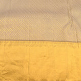 Grey Kanjivaram Silk Saree With Parrot And Floral Gold Zari Border