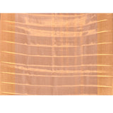 Champagne With Silver Floral Jaal And Gold Diagonal Pallu On Kanjivaram Silk Saree