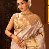 Champagne With Silver Floral Jaal And Gold Diagonal Pallu On Kanjivaram Silk Saree