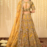 Earthy Yellow Embroidered Tissue Organza Lehenga Set