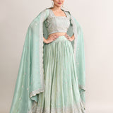 Pastel Soft Green Shimmer Embroidered Lehenga Set