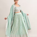 Pastel Soft Green Shimmer Embroidered Lehenga Set