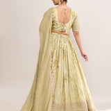 Muted Pastel Green Satin Floral Printed Lehenga Set