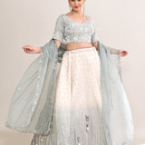 Ash White Crepe Embroidered Lehenga Set