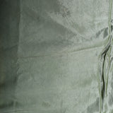 Sage Green Organza Saree With Diamond Jaal Body And Woven Parrot-Floral Shikargah Border