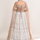 Pastel Cream Net Embroidered Lehenga Set